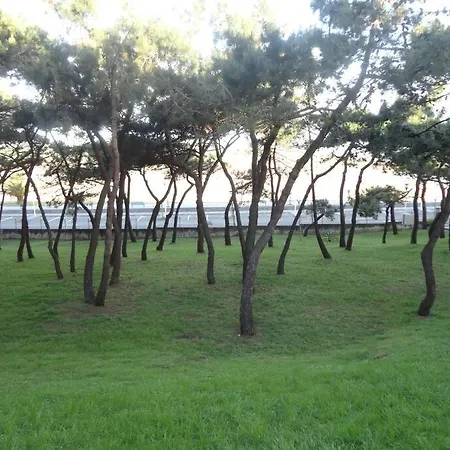 Frente Al Mar Lovely Place Apartamento